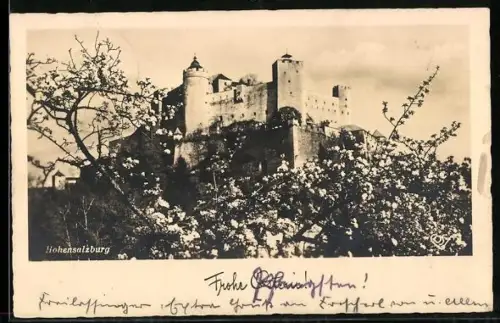 AK Hohensalzburg, Ansicht im Frühling