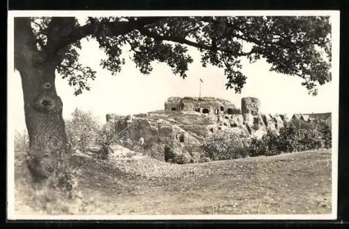 AK Burg Regenstein /Blankenburg, Gesamtansicht
