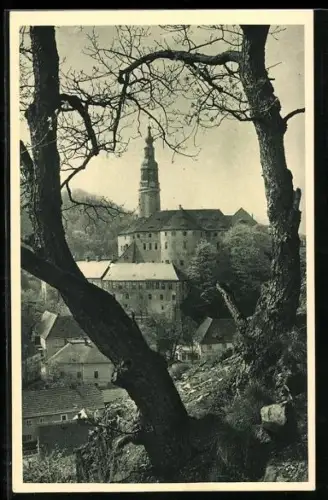 AK Weesenstein, Blick vom Abendfrieden (Weg nach Falkenhain) auf das Schloss