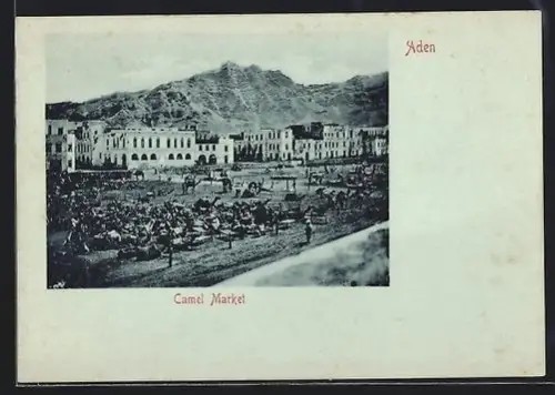 Mini-AK Aden, Camel Market
