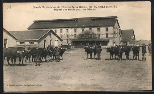 AK Hommes /I-et-L., Départ des boeufs pour les labours au Château de la Briche
