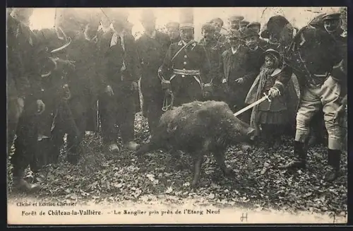 AK Château-la-Vallière, Le Sanglier pris près de l`Étang Neuf