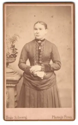 Fotografie Hugo Schwerg, Pirna, Frau mit elegantem Kleid