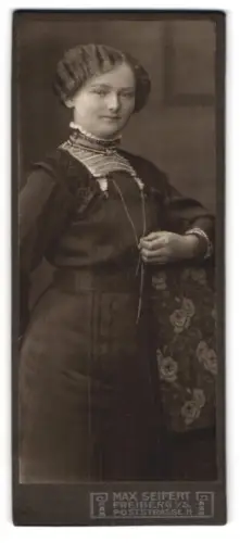 Fotografie Max Seifert, Freiberg, Poststrasse 11, Porträt einer Dame mit elegantem Kleid