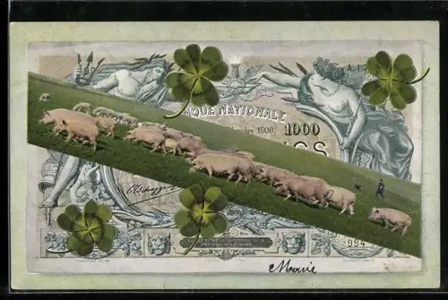 AK Gelschein, Schweine auf einer Wiese, Kleeblätter