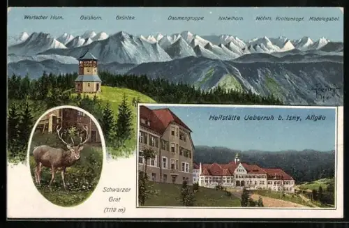 Künstler-AK Eugen Felle: Ueberruh, Heilstätte mit Park, Schwarzer Graf, Aussichtsturm