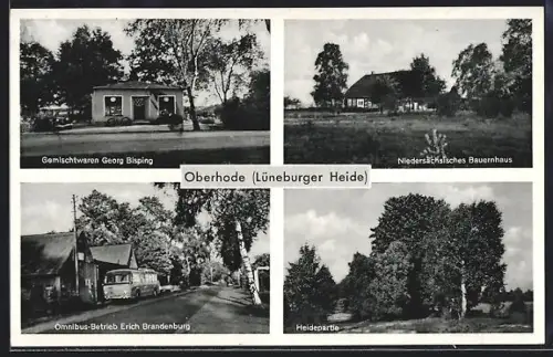 AK Oberhode /Lüneburger Heide, Gemischtwaren Georg Bisping, Omnibus-Betrieb Erich Brandenburg, Heidepartie