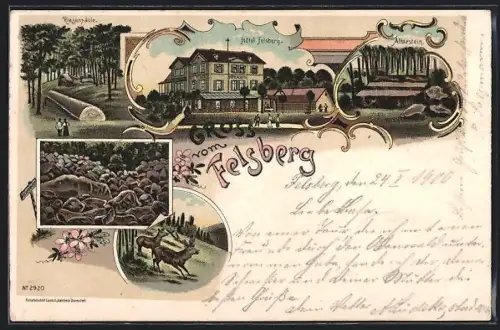Lithographie Felsberg, Hotel Felsberg, Riesensäule, Altarstein, Wildszene