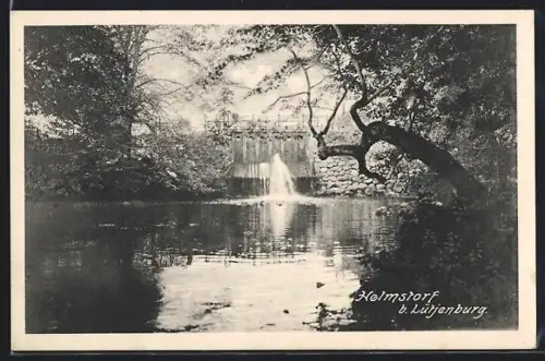 AK Helmstorf b. Lütjenburg, Stauwehr im Wald