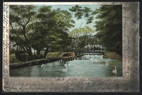 AK Hamburg, Alsterpartie