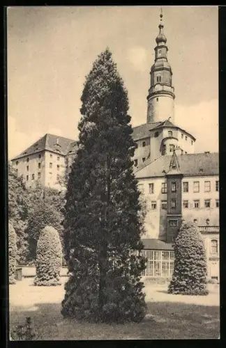 AK Müglitztal, Parkbild aus Schloss Weesenstein
