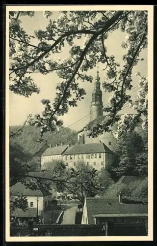 AK Müglitztal, Blick auf Schloss Weesenstein