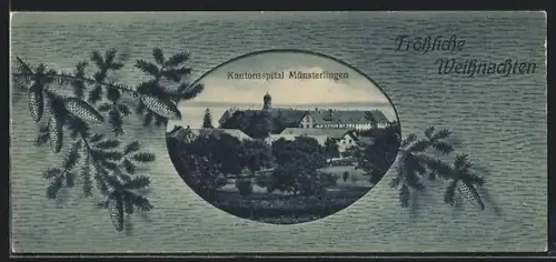 Mini-AK Münsterlingen, Aussenansicht des Kantonsspitals mit Grünanlagen, Tannzapfen im Passepartout