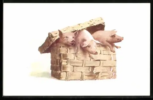 AK Drei Ferkel klettern aus einem Korb
