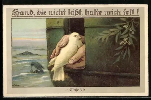 AK Weisse Taube in Händen sitzend, Hand, die nicht lässt, halte mich fest!