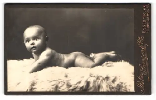 Fotografie Atelier Sampson & Co, Essen, Limbeckerstrasse 12, Porträt eines Kleinkindes auf Fell