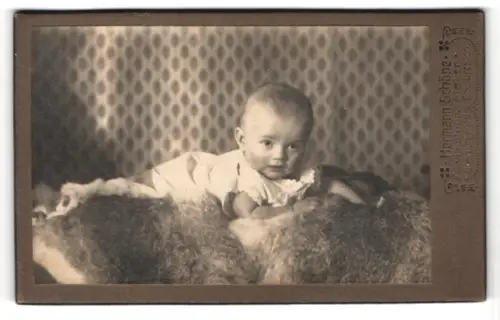 Fotografie Herman Schöne, Oberlichtenau, Porträt eines Säuglings