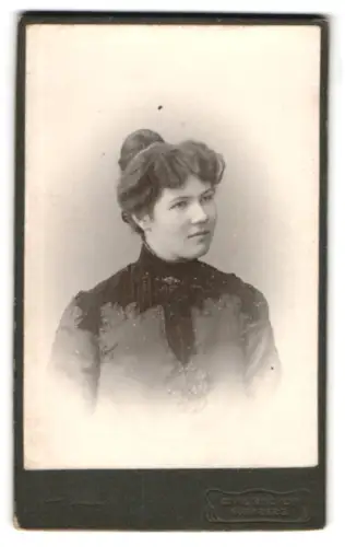 Fotografie Carl Bischof, Nürnberg, Bayreutherstr. 10, Dame mit elegantem Hochsteckfrisur