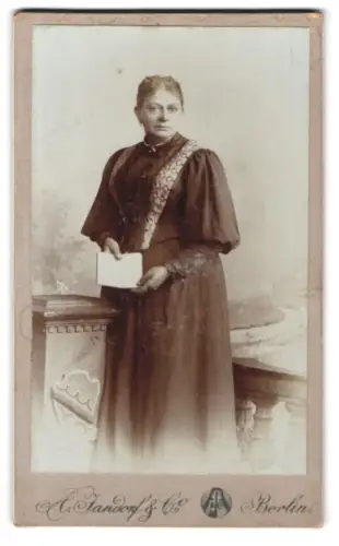 Fotografie A. Fandorf & Co., Berlin, N. Brunnen-Str. 19-21, Porträt einer Dame mit Buch