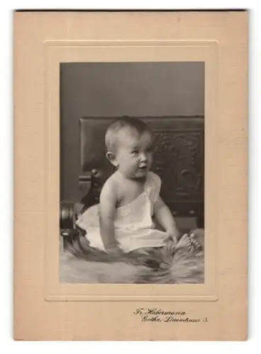 Fotografie Fr. Habermann, Gotha, Löwenstrasse 3, Porträt eines Kleinkinds