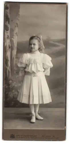 Fotografie Erich Scheithauer, Zwickau, Innere Plauensche Str. 20, Porträt eines jungen Mädchens