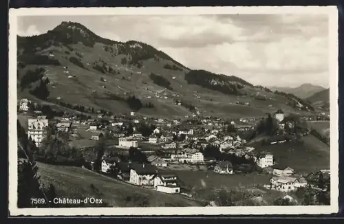 AK Château-d`Oex, Blick auf den Ort
