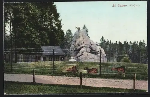 AK St. Gallen, Wildpark mit Rehen