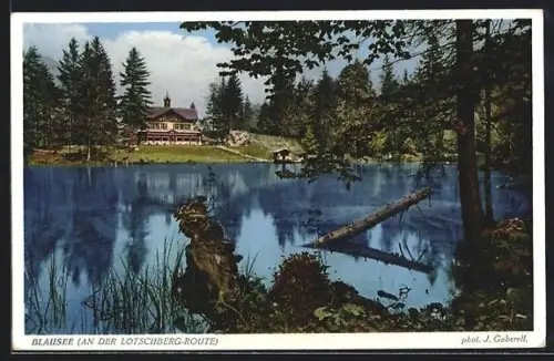 AK Blausee an der Lotschberg-Route, Blick auf den See