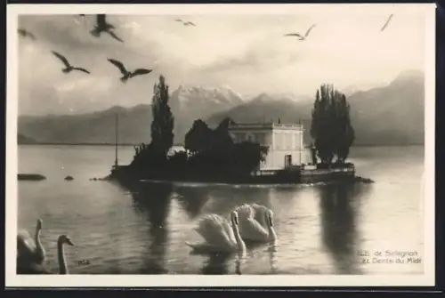 AK Ile de Salagnon, Ile de Salagnon et Dents du Midi