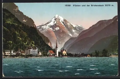 AK Flüelen, Ortsansicht mit Birkenstock