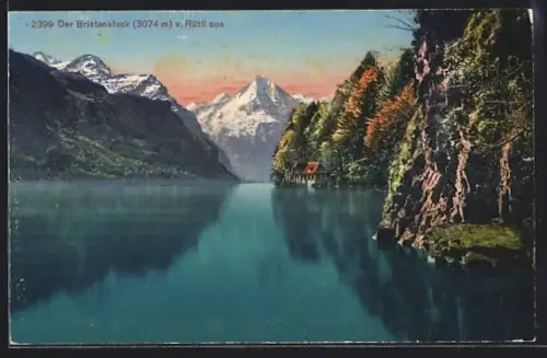 AK Rütli, Blick zum Bristenstock