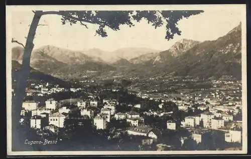 AK Lugano-Besso, Panorama