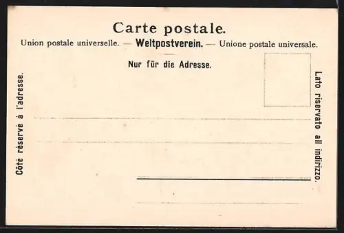 AK Morges, Vue du Lac