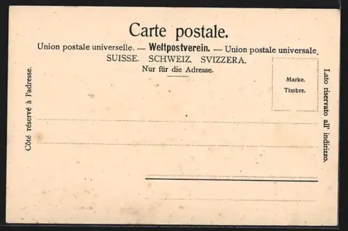 AK Genève, La Jonction