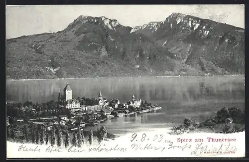 AK Spiez am Thunersee, Totalansicht des Ortes mit Gebirgspanorama