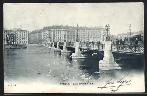 AK Genève, Les Mouettes