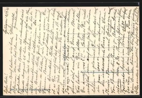 AK Splügen, Panorama