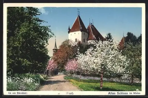 AK Worb, Altes Schloss