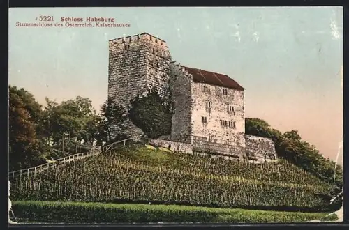 AK Habsburg, Schloss Habsburg