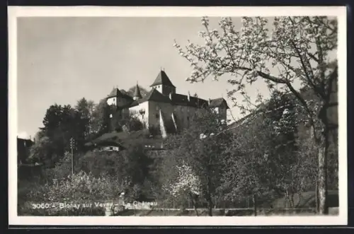 AK Blonay sur Vevey, Le Chateau