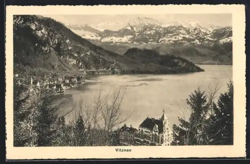 AK Vitznau, Ortsansicht aus der Vogelschau, Seepartie und Gipfelpanorama