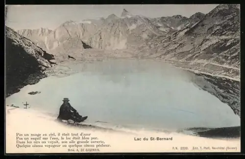 AK Lac du Grand Saint-Bernard, Panorama