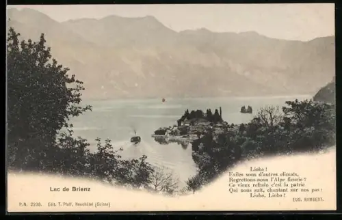 AK Brienz /BE, Lac de Brienz, Vue générale