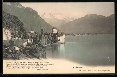 AK Lac Léman, Vue panoramique