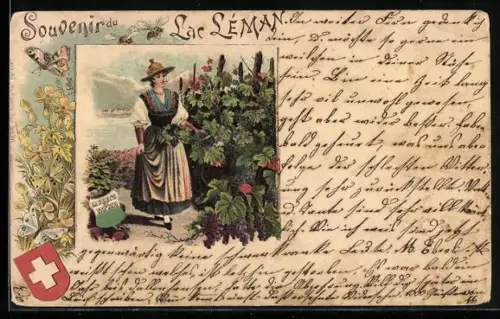 Lithographie Lac Léman, Dame in Tracht auf einem Weinberg, Wappen