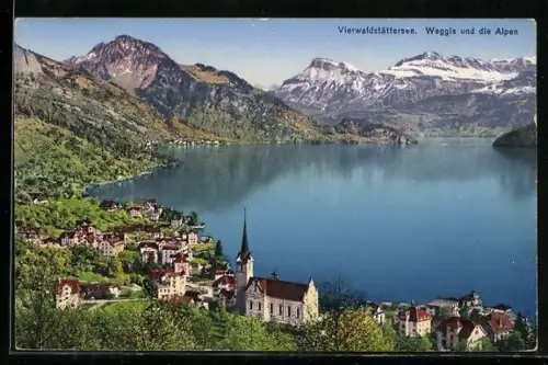 AK Weggis /Vierwaldstättersee, Ortspanorama mit den Alpen