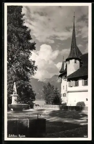 AK Spiez, Partie im Schlossgarten mit Gebirgspanorama