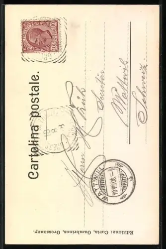 AK Gressoney, Monte Rosa