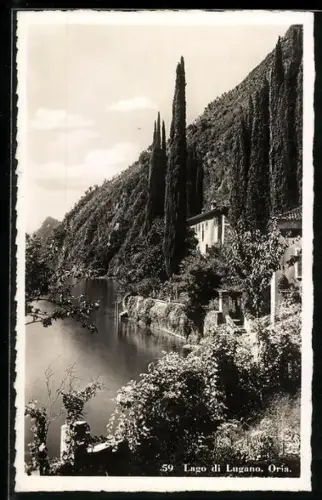 AK Oria /Lago di Lugano, Uferpartie mit Grünanlagen und Wohnhäusern