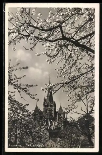 AK Lausanne, La Cathédrale